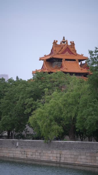 旅拍风景,配音,知识,树木,全景