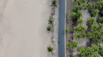 旅拍风景,美景,大自然,植物,树木,全景