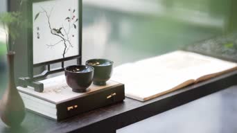 配音,家具,桌子,全景