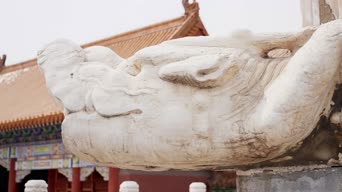 街拍,工作,全景