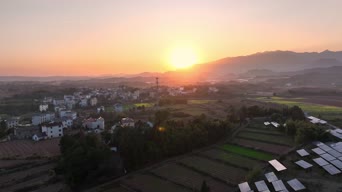 旅拍风景,配音,知识,树木,高楼,全景