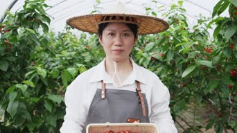 自拍,大叔,衣服,植物,食物,全景
