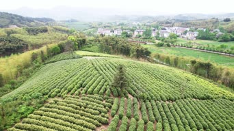旅拍风景,美景,大自然,记录,全景