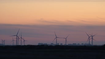 美景,夕阳,全景,高美野生动物保护区