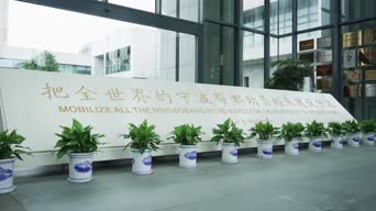 配音,知识,植物,树木,全景