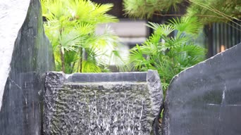 生活日常,美景,带货,农村,植物,树木,全景