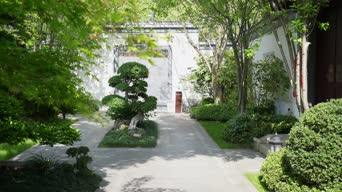 旅拍风景,配音,知识,树木,植物,全景
