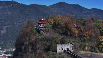 旅拍风景,美景,旅拍,大自然,树木,植物,全景