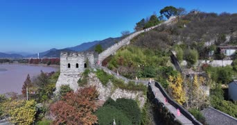 旅拍风景,配音,树木,植物,全景
