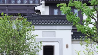 旅拍风景,配音,知识,植物,树木,全景