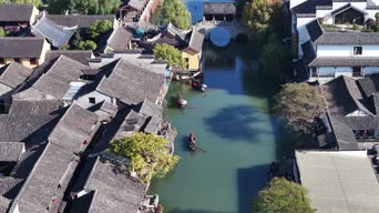 旅拍风景,配音,知识,树木,植物,全景