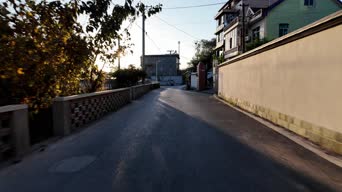 美景,旅拍,树木,植物,山路,全景