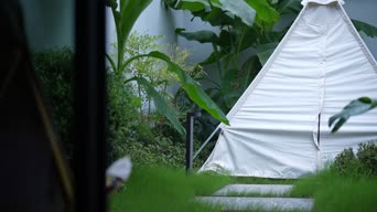 旅行记录,配音,植物,树木,全景