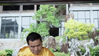 配音,植物,树木,衣服,全景