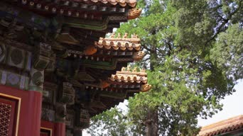 配音,树木,全景,御花园
