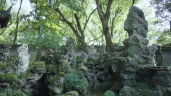 旅拍风景,配音,树木,植物,全景,桥上桥上桥