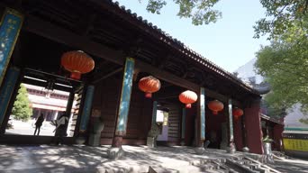 旅拍风景,配音,树木,植物,全景