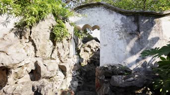 旅拍风景,配音,树木,植物,全景