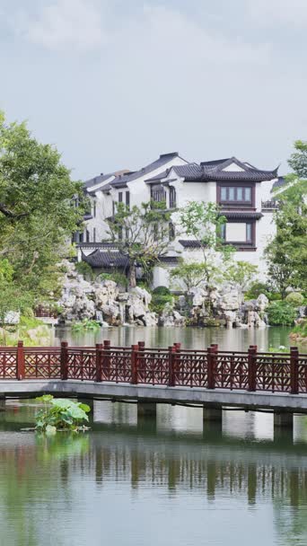 旅拍风景,度假,美景,旅拍,树木,植物,全景