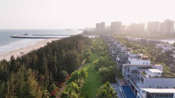 城市,美景,树木,高楼,植物,全景