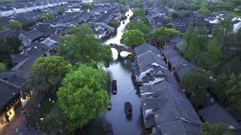 旅拍风景,美景,大自然,树木,植物,全景