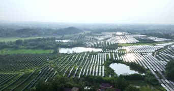 旅拍风景,美景,大自然,配音,树木,全景