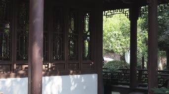 职业技能,配音,树木,植物,衣服,全景