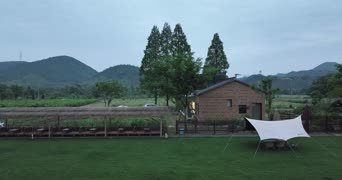 旅拍风景,美景,旅拍,配音,树木,植物,花,阅读,全景
