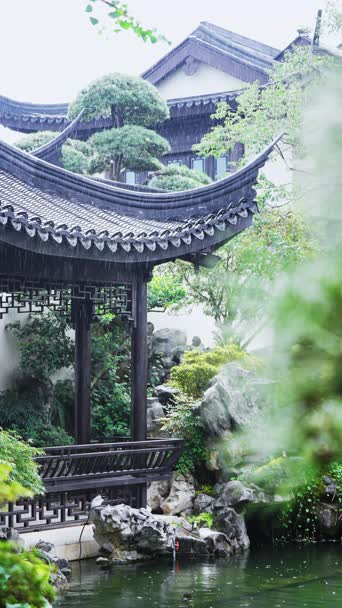配音,知识,树木,植物,全景