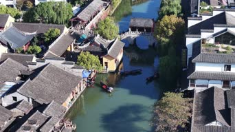 旅拍风景,配音,知识,树木,植物,全景