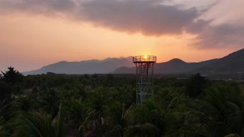 美景,夕阳,日落,树木,植物,全景