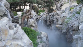 旅拍风景,配音,植物,树木,全景