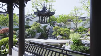 旅拍风景,美景,大自然,火车,树木,植物,全景