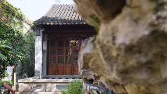 旅拍风景,配音,树木,植物,全景