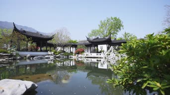 旅拍风景,大自然,美景,树木,植物,全景