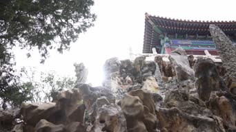 旅拍风景,配音,树木,植物,全景