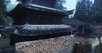旅拍风景,配音,知识,树木,植物,全景