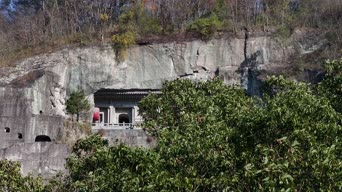 旅拍风景,美景,大自然,植物,树木,全景