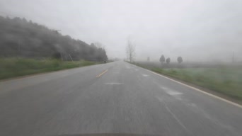 配音,美景,树木,全景