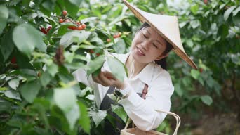 乡村生活,女装,女神,花,植物,衣服,全景