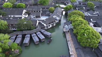 旅拍风景,美景,大自然,植物,树木,全景