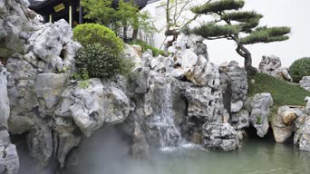 旅拍风景,配音,树木,植物,全景