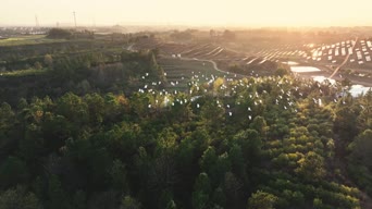 旅拍风景,美景,大自然,树木,植物,全景