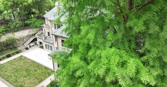 旅拍风景,配音,树木,植物,全景