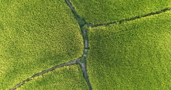 旅拍风景,配音,植物,树木,全景