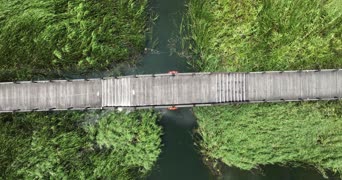 旅拍风景,配音,植物,树木,全景