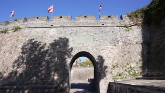 旅拍风景,配音,知识,植物,树木,全景