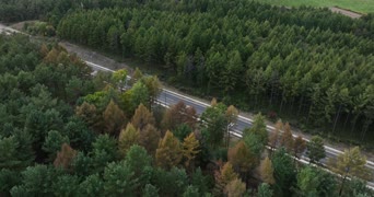 旅拍风景,美景,大自然,树木,植物,高速公路,全景