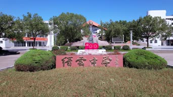 旅拍风景,美景,树木,植物,全景