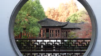 旅拍风景,配音,知识,树木,植物,全景